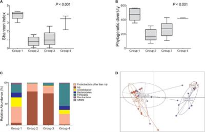 Changes in Gastric Corpus Microbiota With Age and After Helicobacter pylori Eradication: A Long-Term Follow-Up Study